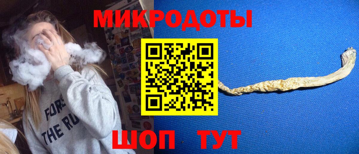 Псилоцибиновые грибы Cubensis Мурино