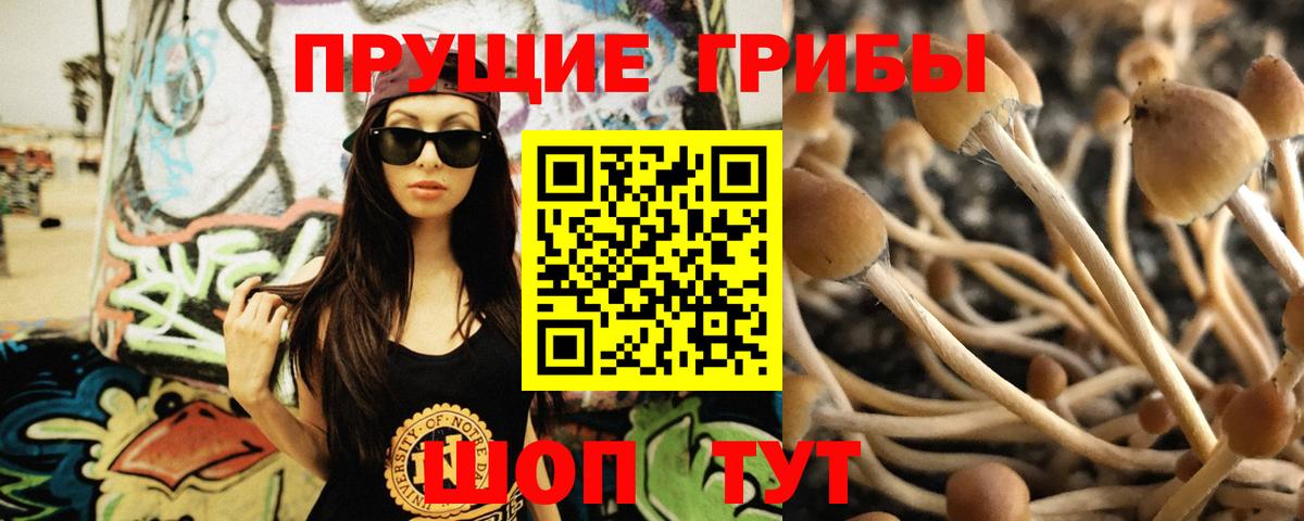 Псилоцибиновые грибы MAGIC MUSHROOMS  Вход с VPN  Мурино 